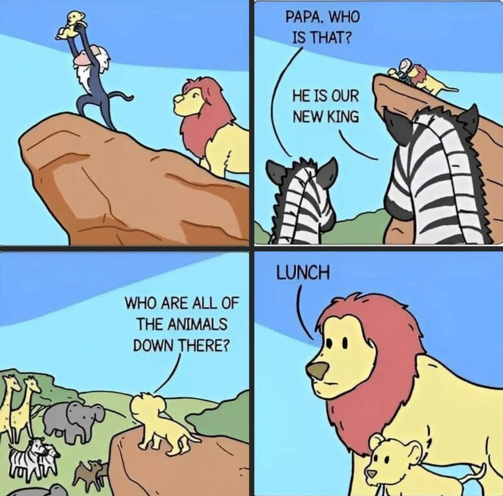 Zdjęcie dodane przez Maciej