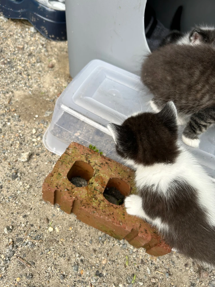 Image uploaded by JustCallMeWill