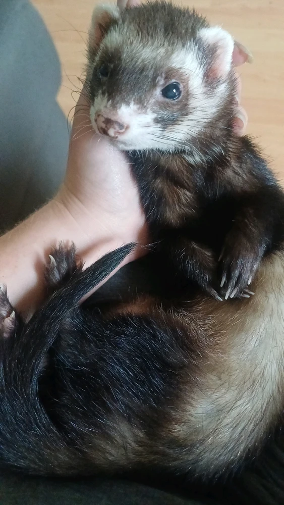 Bild hochgeladen von Tili