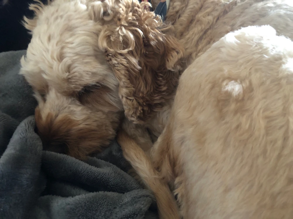 Image uploaded by Kai