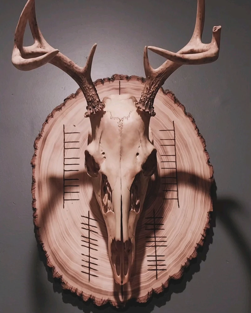 Image uploaded by Bonnie