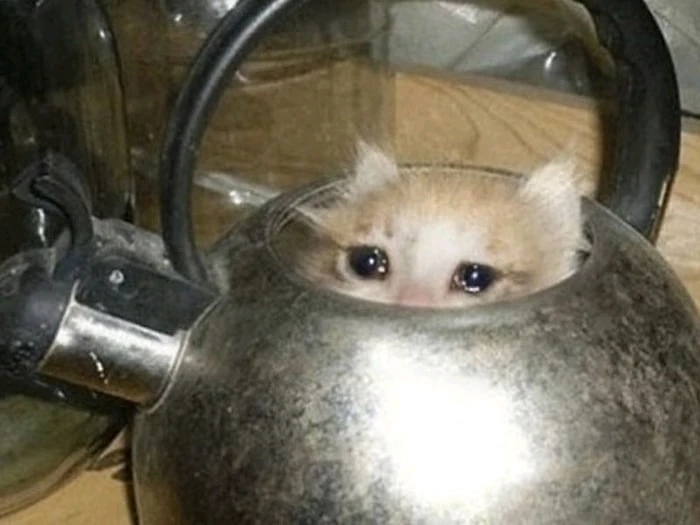 Ảnh do Yan tải lên