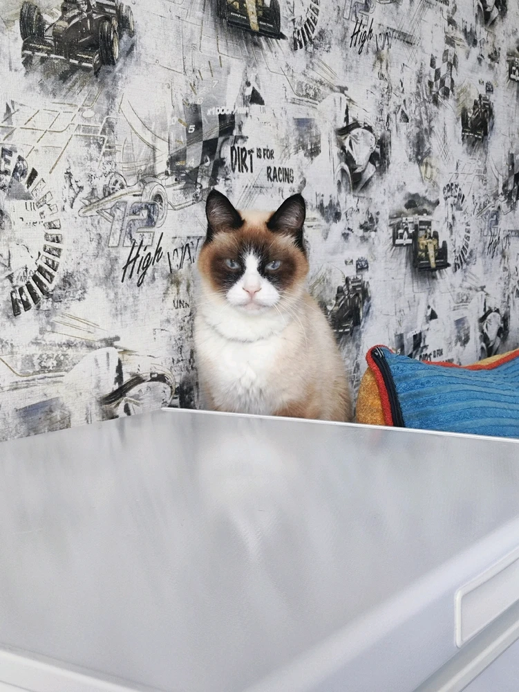 Фото загрузил Алексей