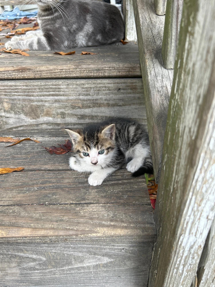 Image uploaded by JustCallMeWill