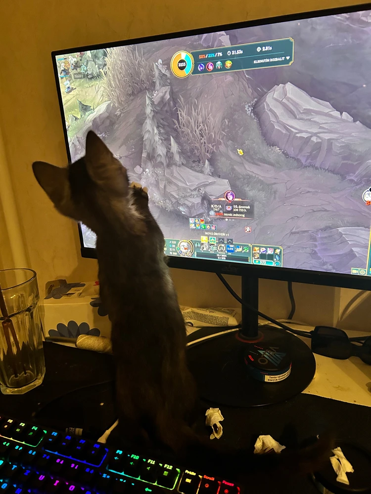 Obrázek nahrál Lukáš