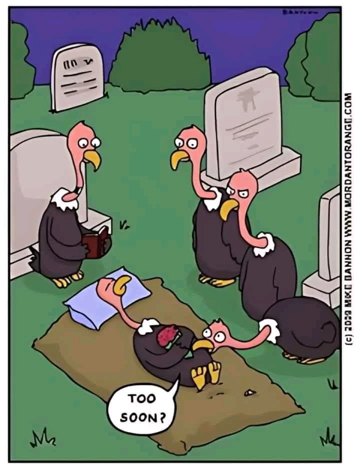 Immagine caricata da Lu