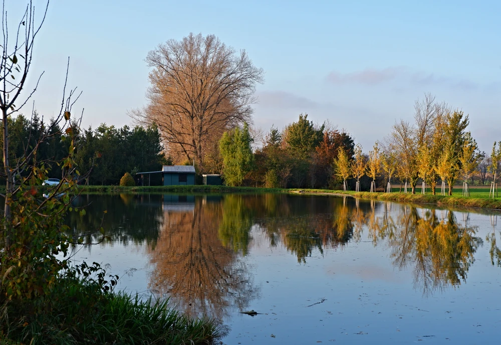 Obrázek nahrál Daniel Kovář