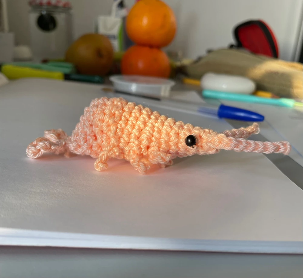 Immagine caricata da Sofia