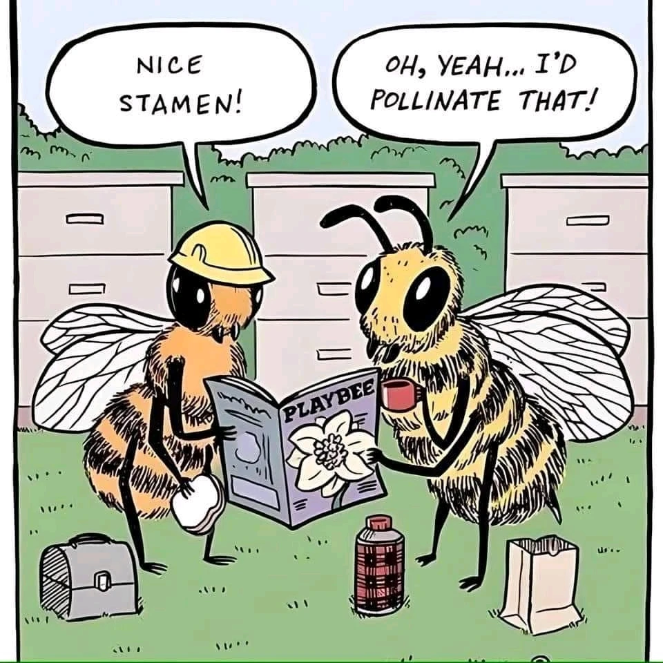 Bild hochgeladen von Doris