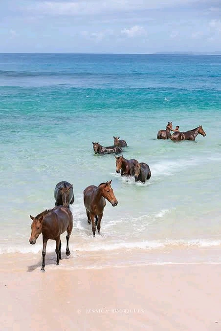 Image uploaded by 𝓢𝓮𝓻𝓮𝓷 • 𝓢𝓮𝓻𝓮𝓷𝓭𝓲𝓹𝓲𝓽𝔂