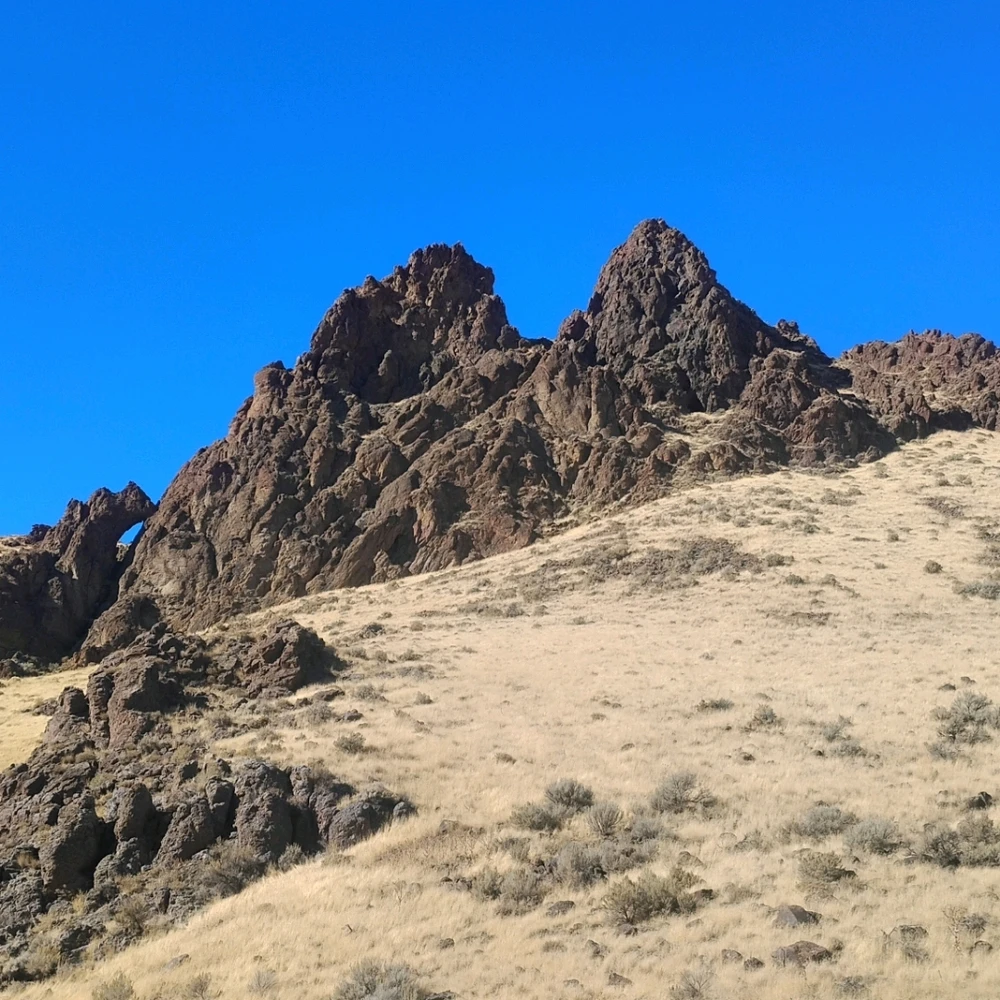 Image uploaded by Colton