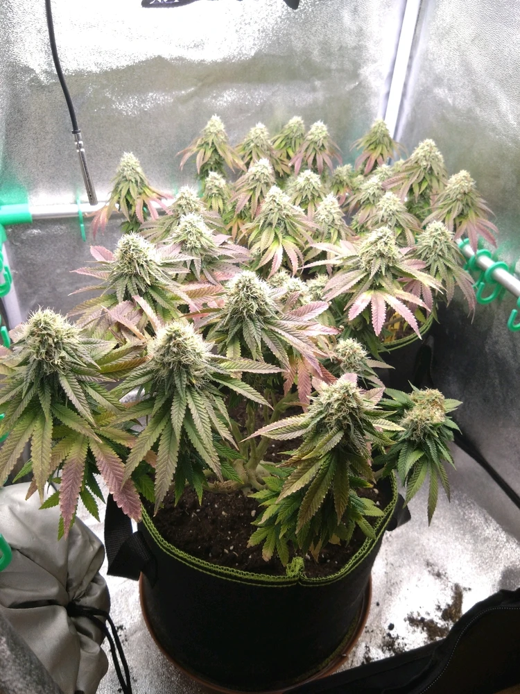 Bild hochgeladen von Find's doch raus