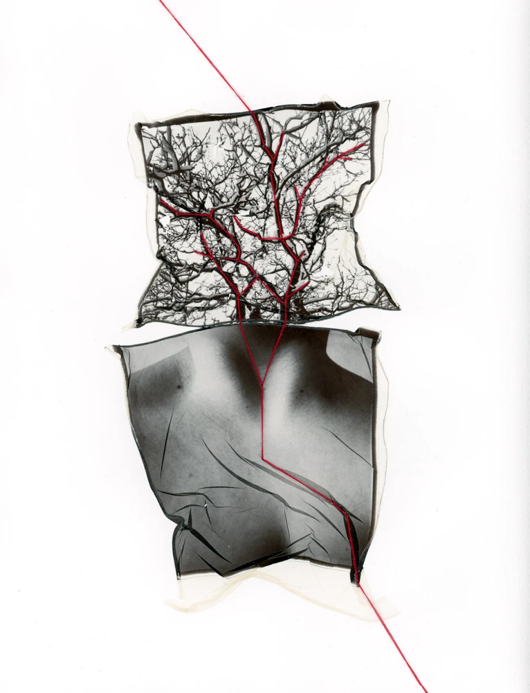 Obrázek nahrál Irónia