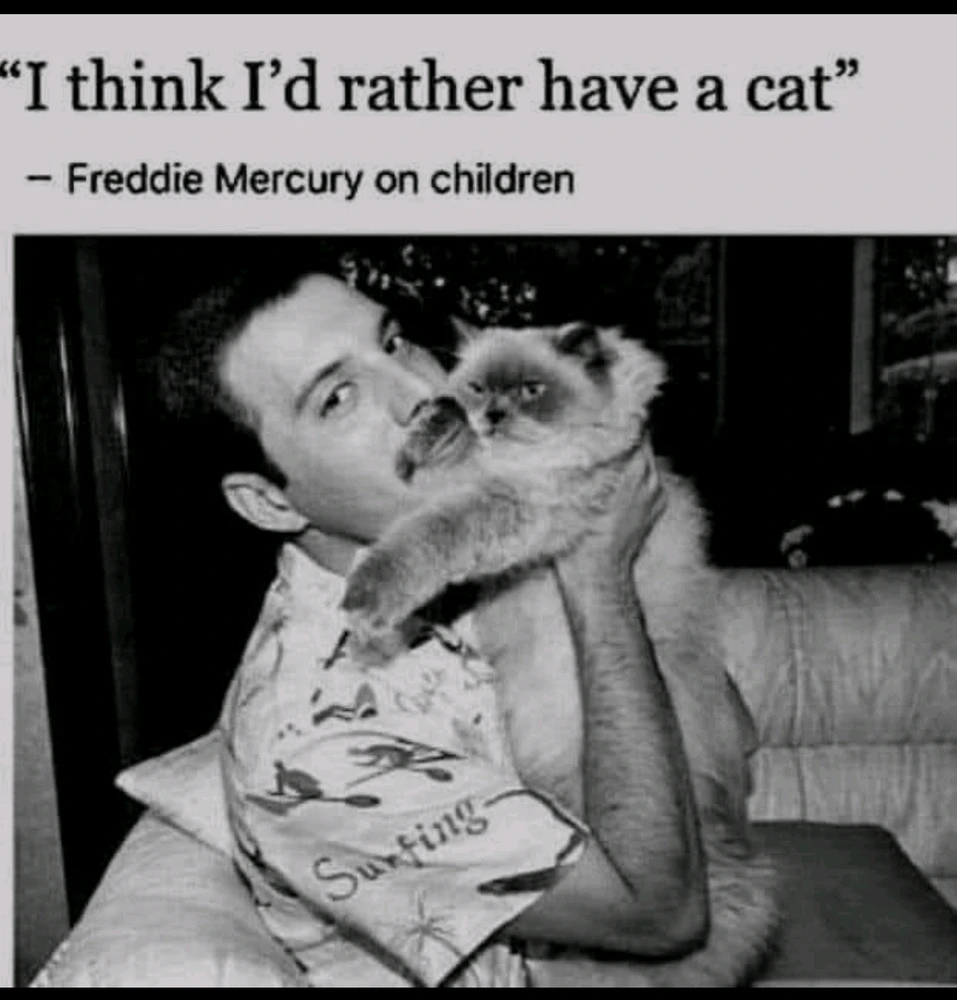 Bild hochgeladen von Garret