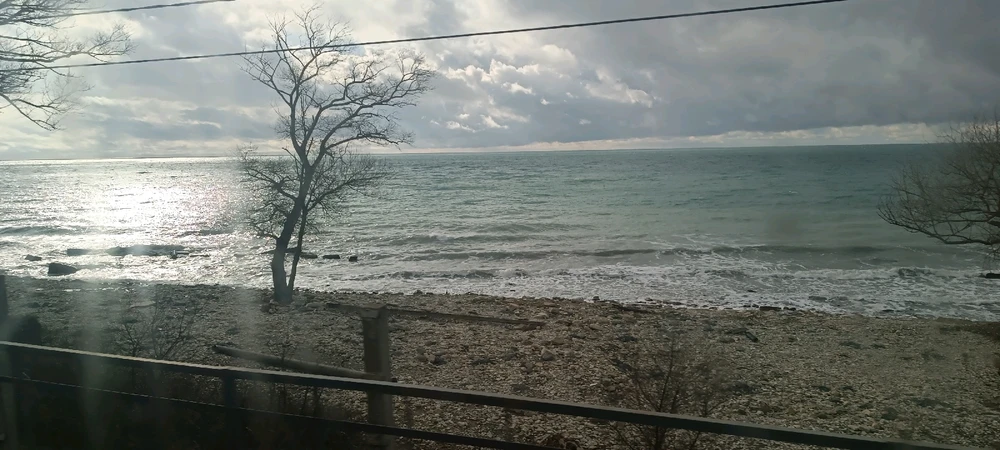 Image uploaded by Nikita