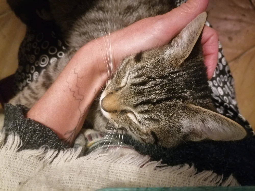 Image ajoutée par AudeKazoo