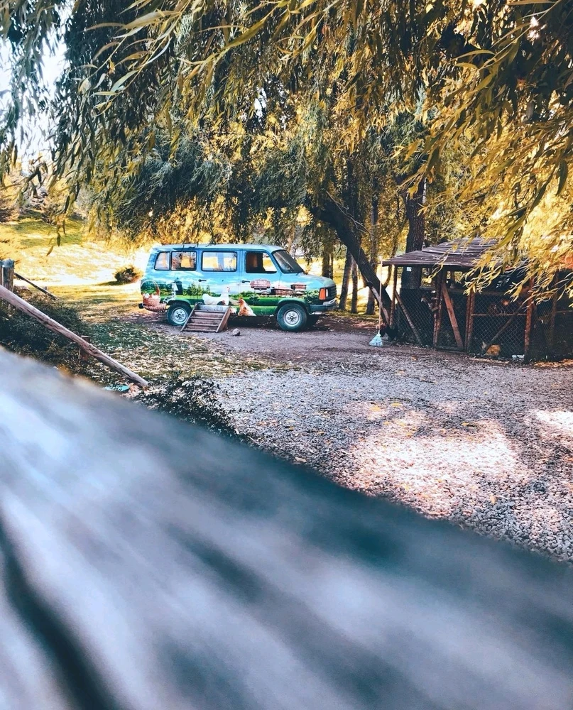 Фото загрузил John Racher