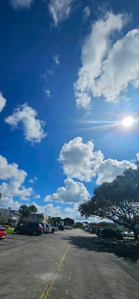 Image uploaded by Liza