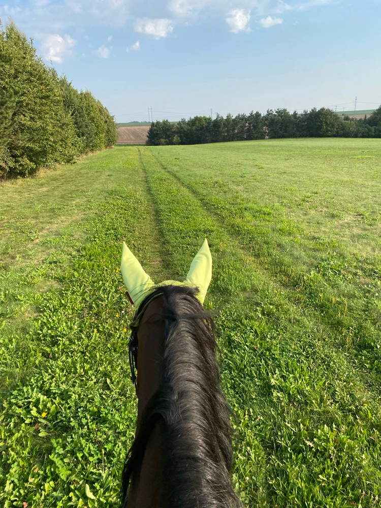 Obrázek nahrál Tereza