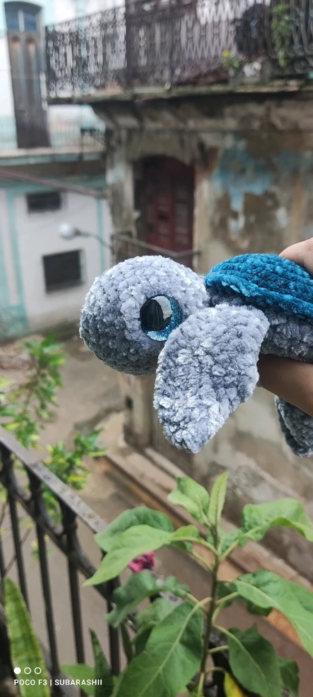 Image uploaded by Maiko chan