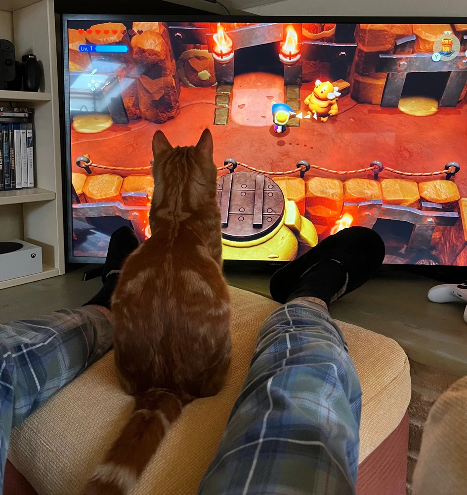 Immagine caricata da Fabio