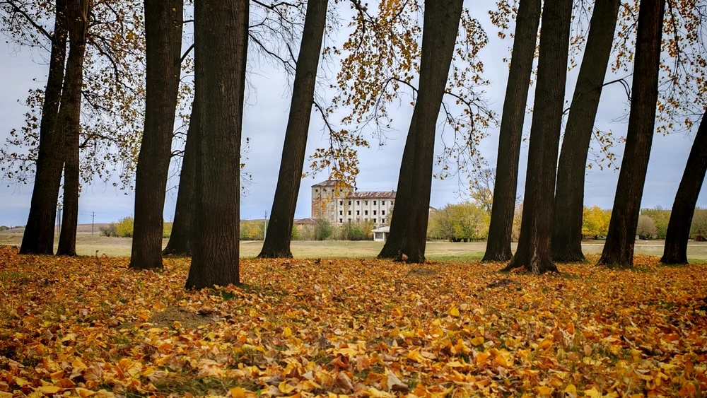 Imagine încărcată de Liviu Drăguț