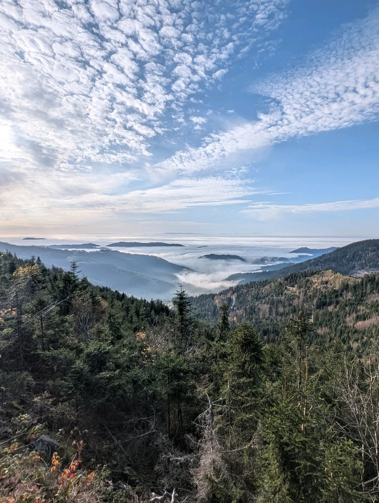 Au-delà du brouillard....🌞