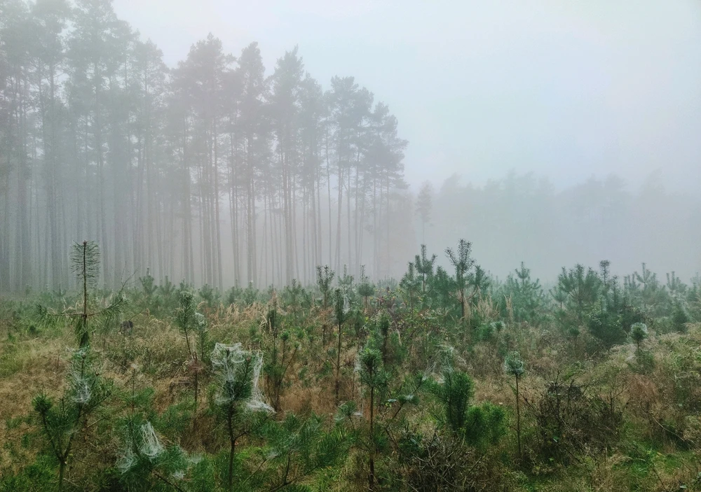 Obrázek nahrál 🧿