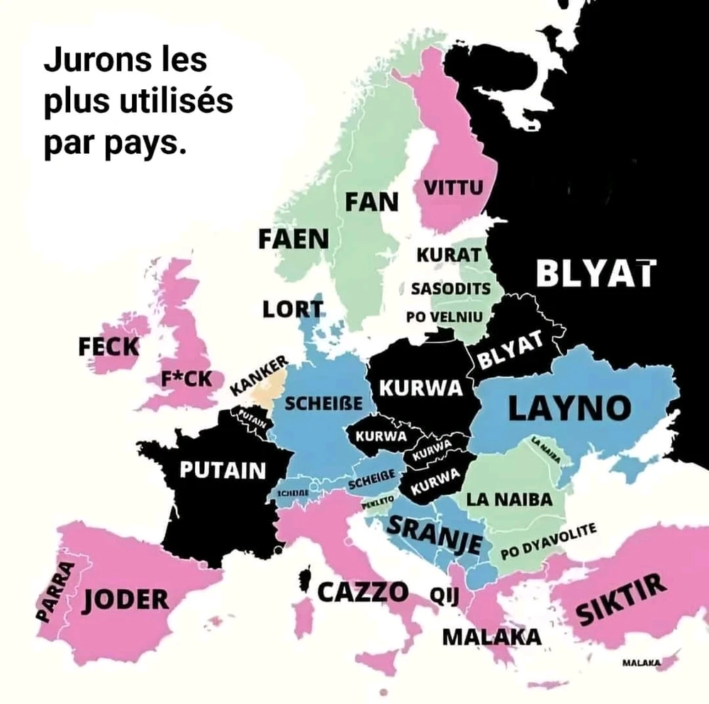 Image ajoutée par Nicolas