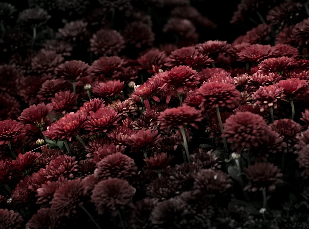 Image uploaded by Nate