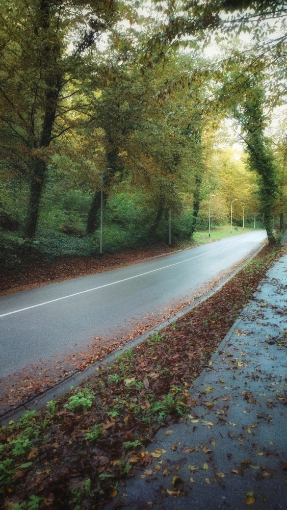 Image uploaded by Anita