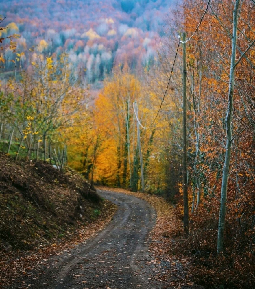 Зображення завантажив John Racher