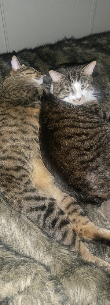 Image uploaded by Chris