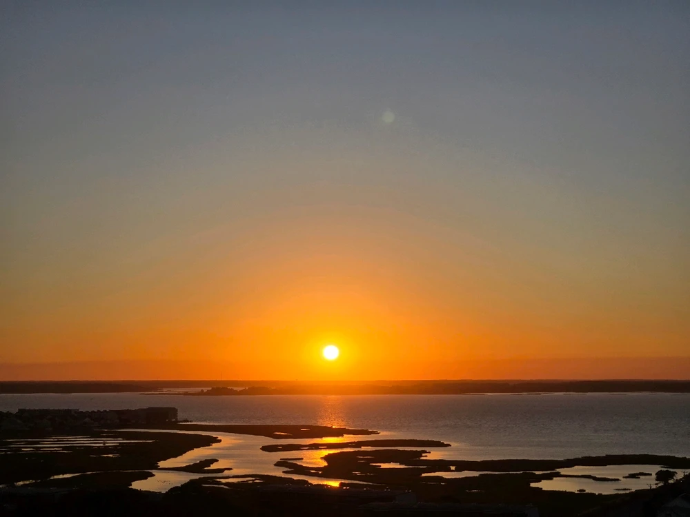 Image uploaded by Alicia