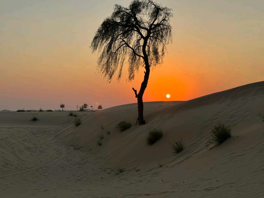 Image uploaded by Bonjour