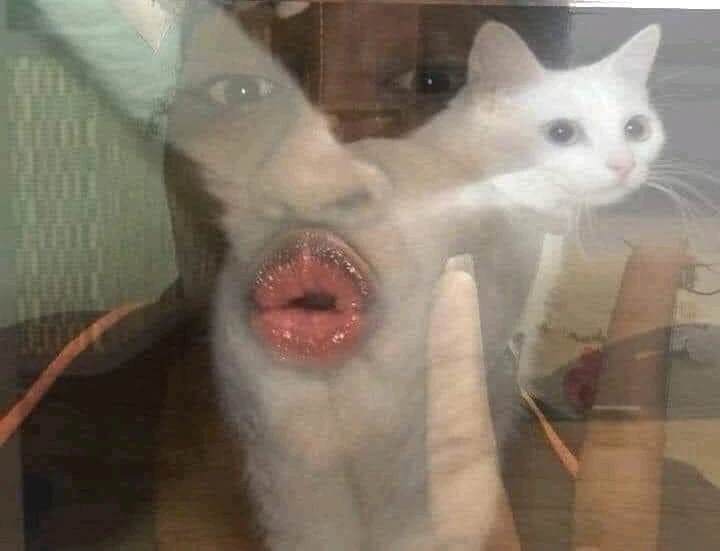 Pho Qing Mei Taji 🤣上傳的圖片