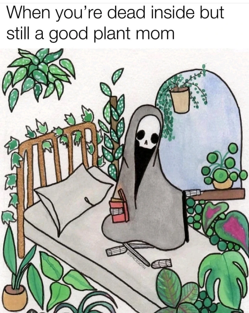 GIF загрузил Nadin