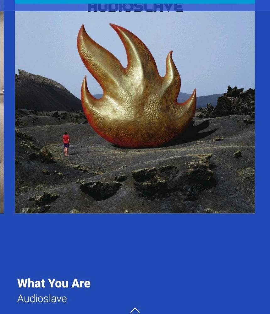 Audioslave - What You Are