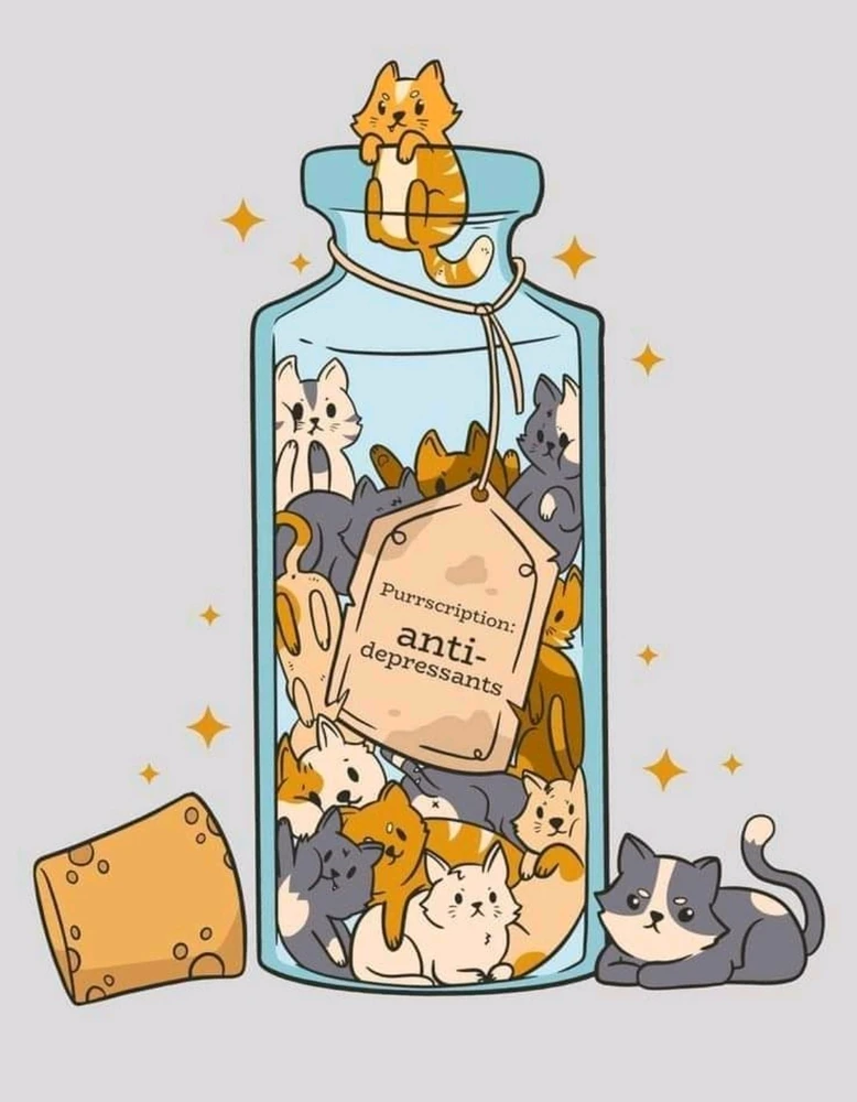 Bild hochgeladen von Laya