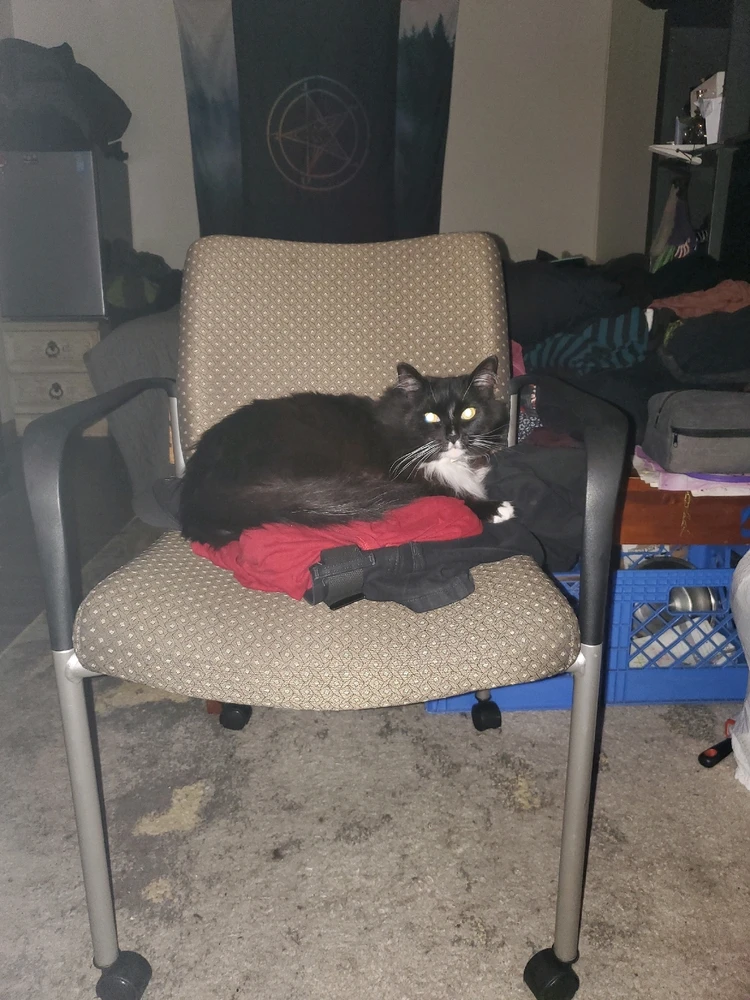 Image uploaded by Michael