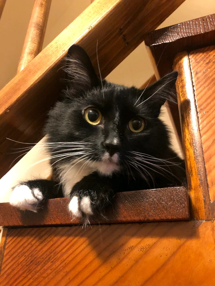 Image uploaded by Michael