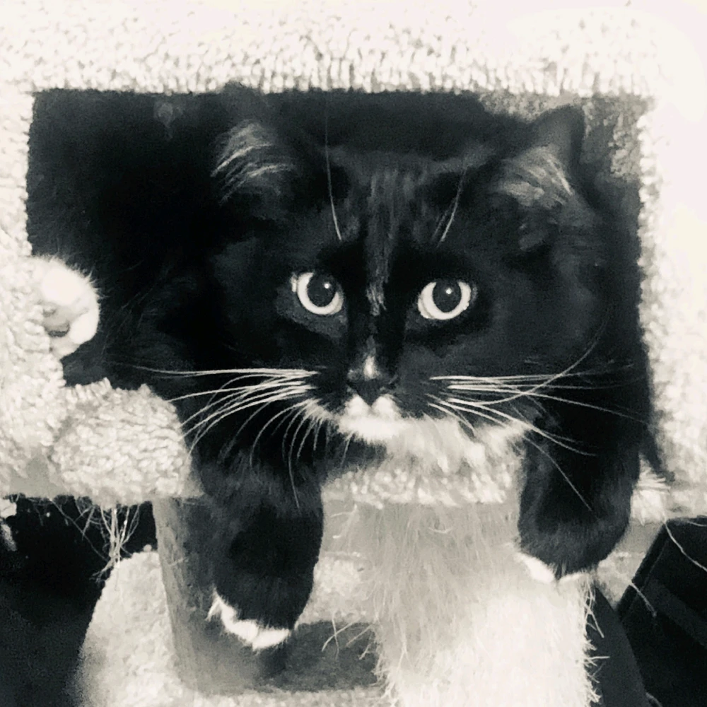 Image uploaded by Michael