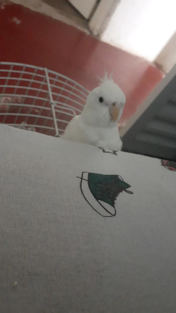Imagem enviada por Bruno