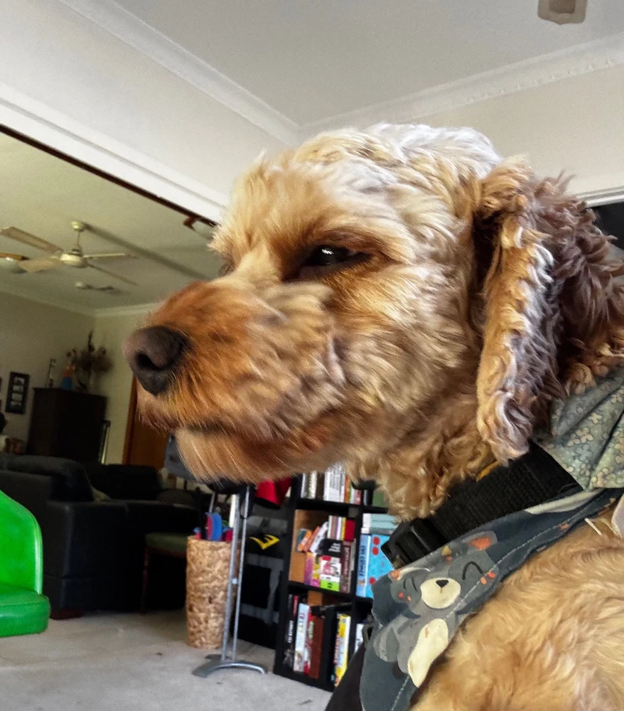 Image uploaded by Kai