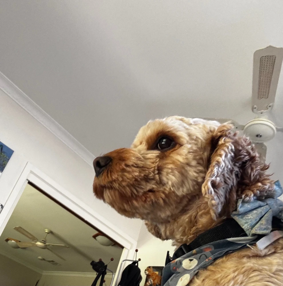 Image uploaded by Kai