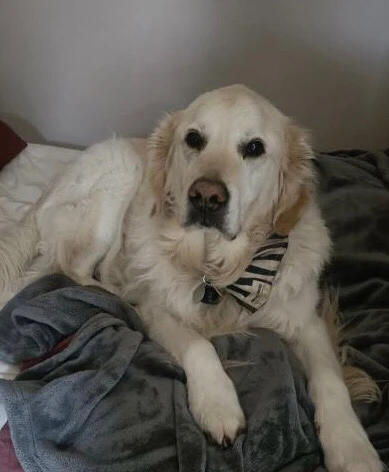 Image uploaded by Kai