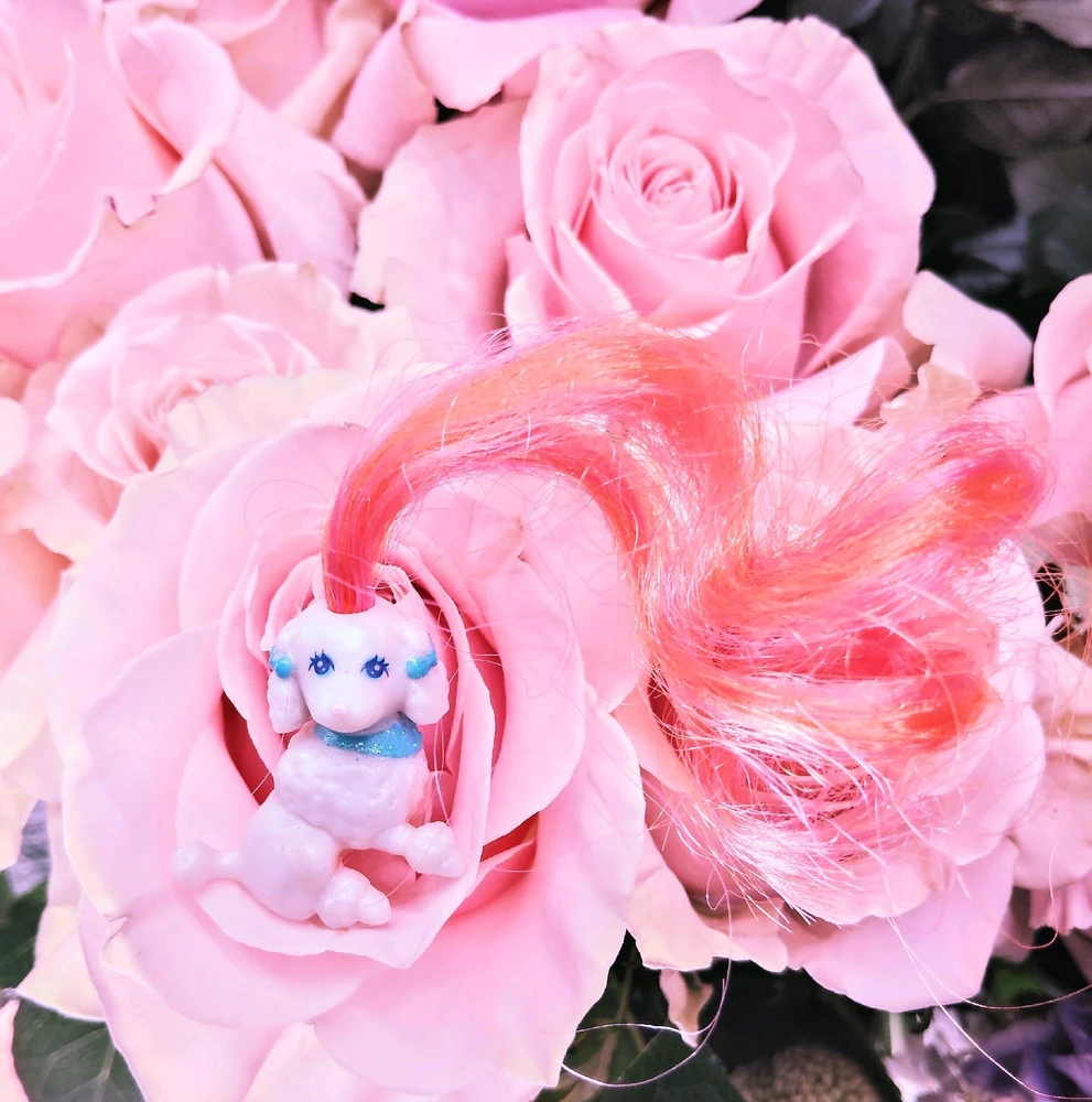 GIF uploaded by Bitsy Bear