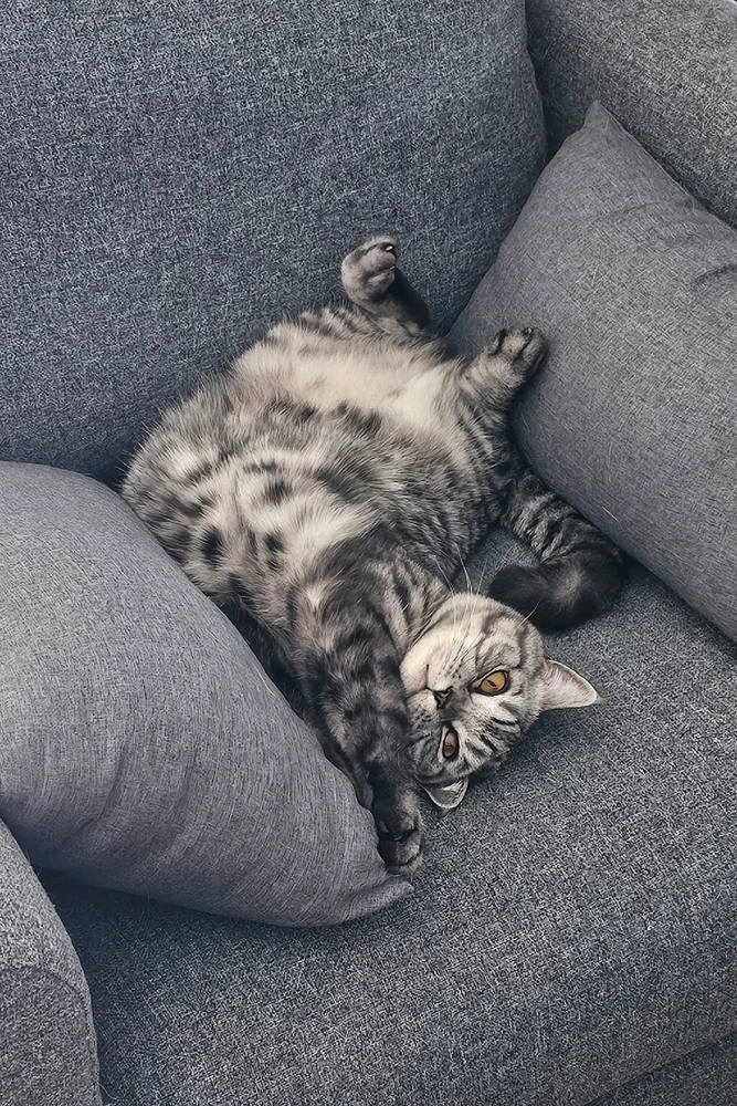 GIF hochgeladen von 𝕁𝕖𝕤𝕤𝕚𝕔𝕒