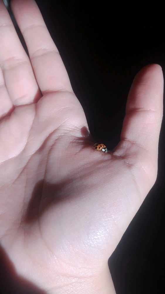 Pln tarafından yüklenen GIF