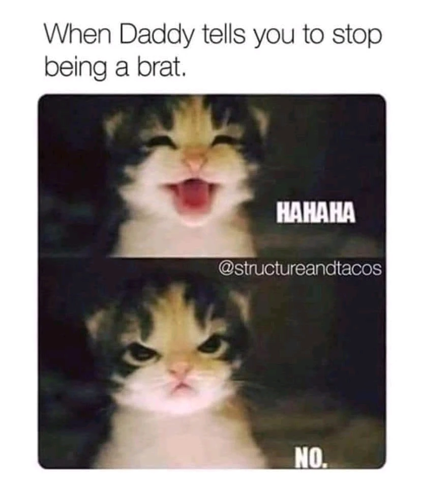GIF uploaded by Tabitha